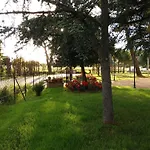 Flache Kornblume By Interhome * Террануова-Браччолини
