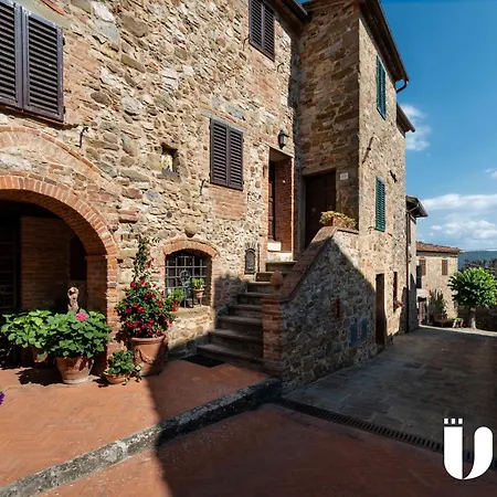 Flache Kornblume By Interhome *