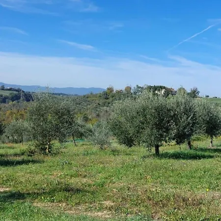 Appartamento Flache Kornblume By Interhome *